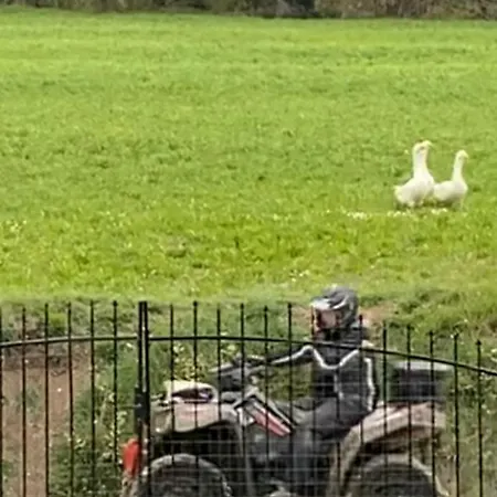 Orlandi Sun Casa 2 * Sarnano