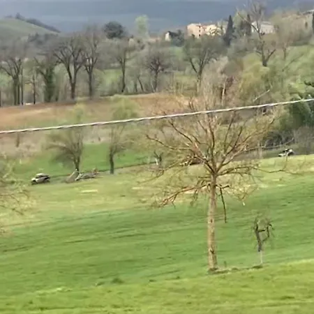 Orlandi Sun Casa 2 Apartment