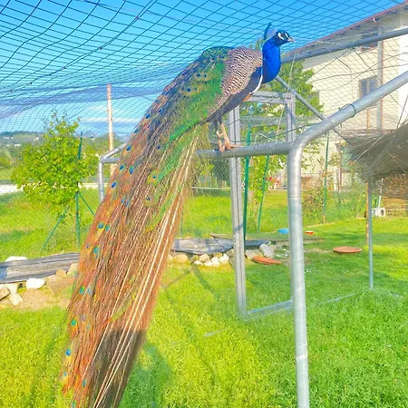 Orlandi Sun Casa 2 Sarnano