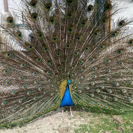 Appartamento Orlandi Sun Casa 2 Sarnano