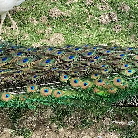 Appartamento Orlandi Sun Casa 2 Sarnano