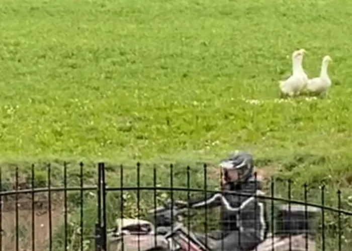 Orlandi Sun Casa 2 * Sarnano