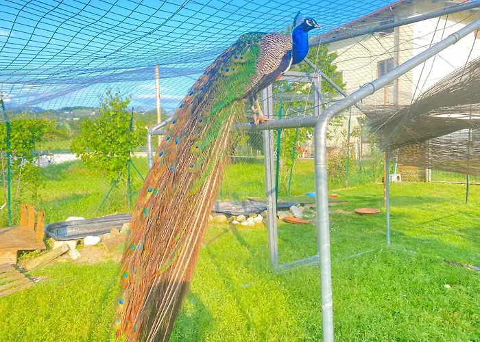 Orlandi Sun Casa 2 Sarnano