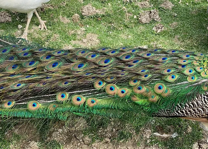 Apartamento Orlandi Sun Casa 2 Sarnano